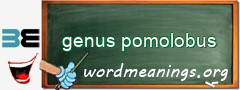 WordMeaning blackboard for genus pomolobus